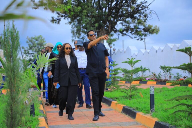 የፕላን ሚኒስትሯ በሀረሪ ክልል እየተከናወኑ የሚገኙ የልማት ስራዎችን ተዘዋውረው ተመለከቱ