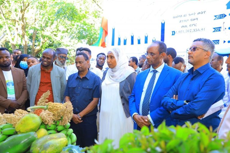 የብልፅግና ፖርቲ 5ተኛ ዓመት የምስረታ በዓልን አሰመልክቶ በሐረሪ ክልል የፎቶ አውደ ርዕይ ለእይታ ቀርበዋል።